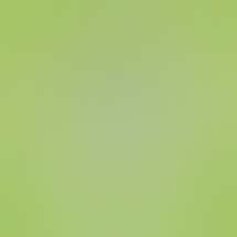 Green Flower Dispensary