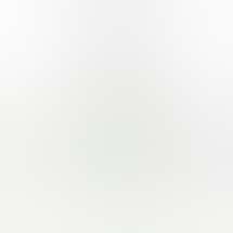 Flight 420 - Sallisaw