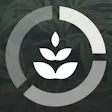 The Circle
