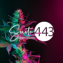 Suite 443