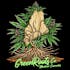Green Roots Company