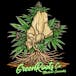 Green Roots Company