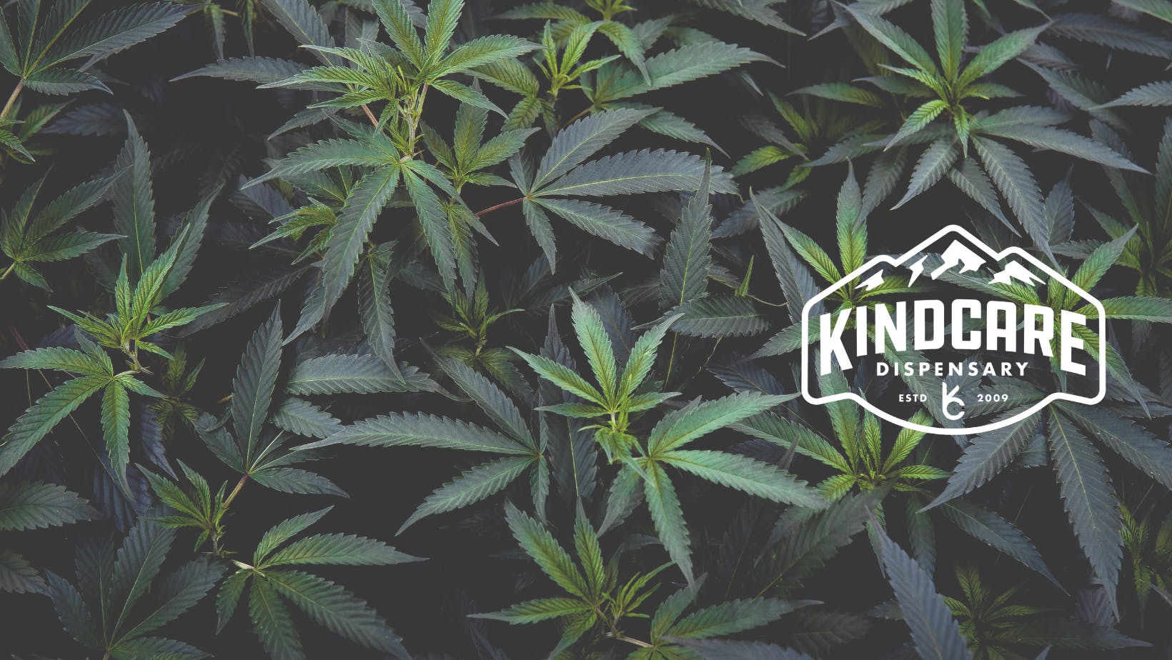 KindCare - Longmont listing banner