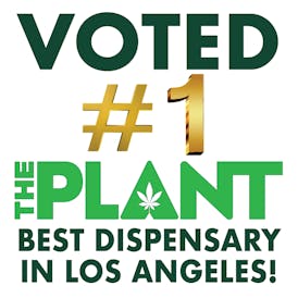 The Plant