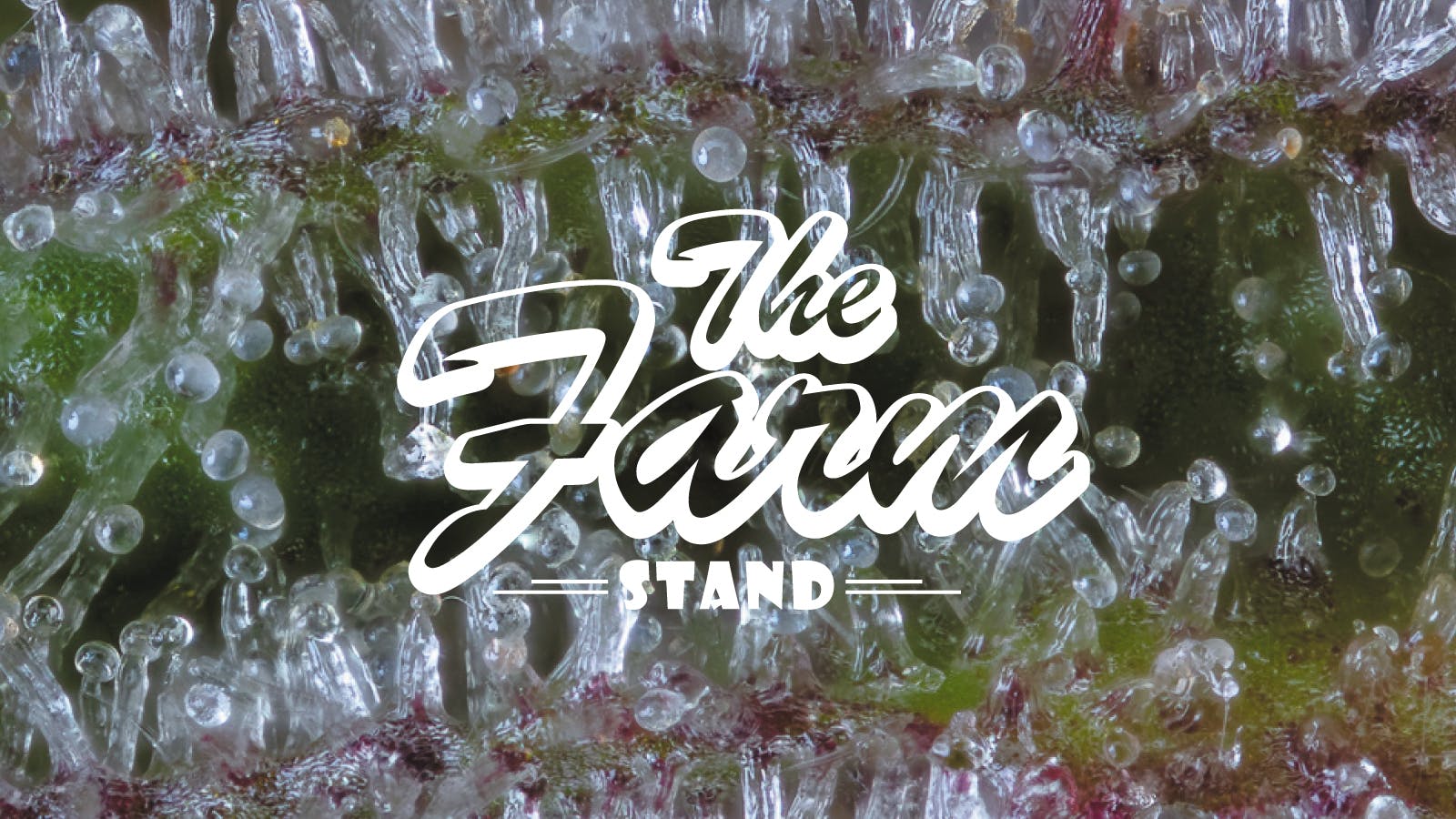 The Farm Stand listing banner