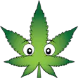 Buddies Cannabis Co