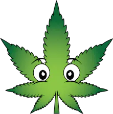 Buddies Cannabis Co
