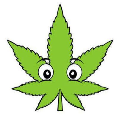 Buddies Cannabis Co