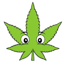Buddies Cannabis Co