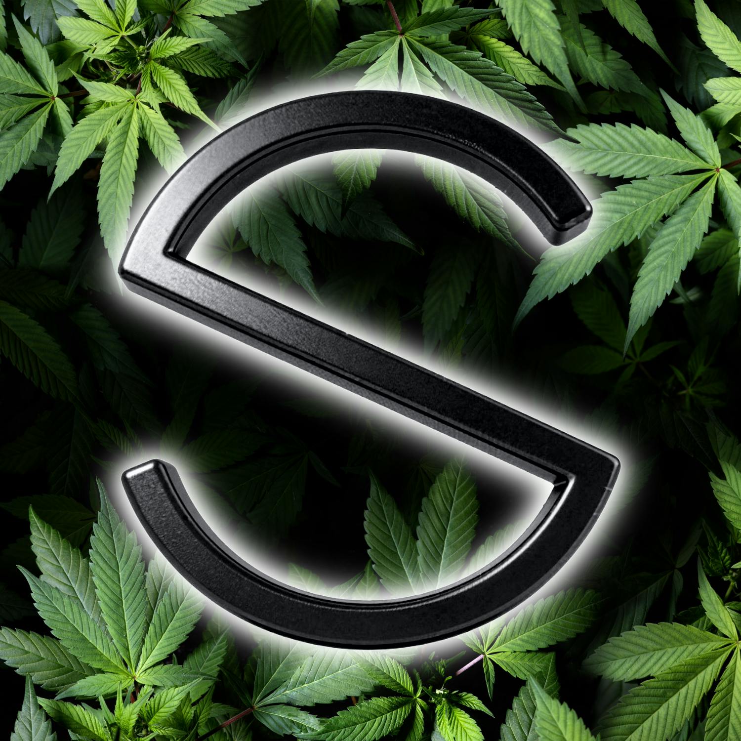 Stability Cannabis - NW 63rd and May