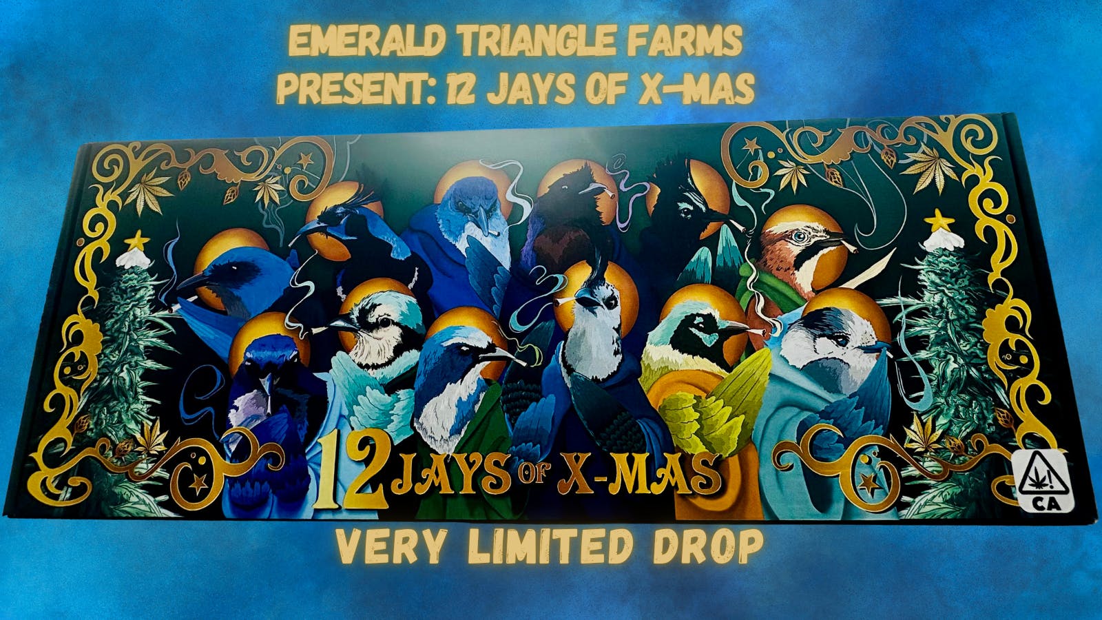 Proper Wellness Center listing banner