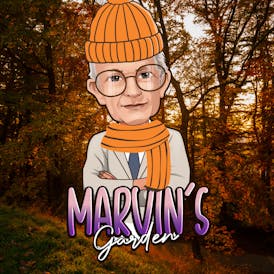 Marvin's Garden