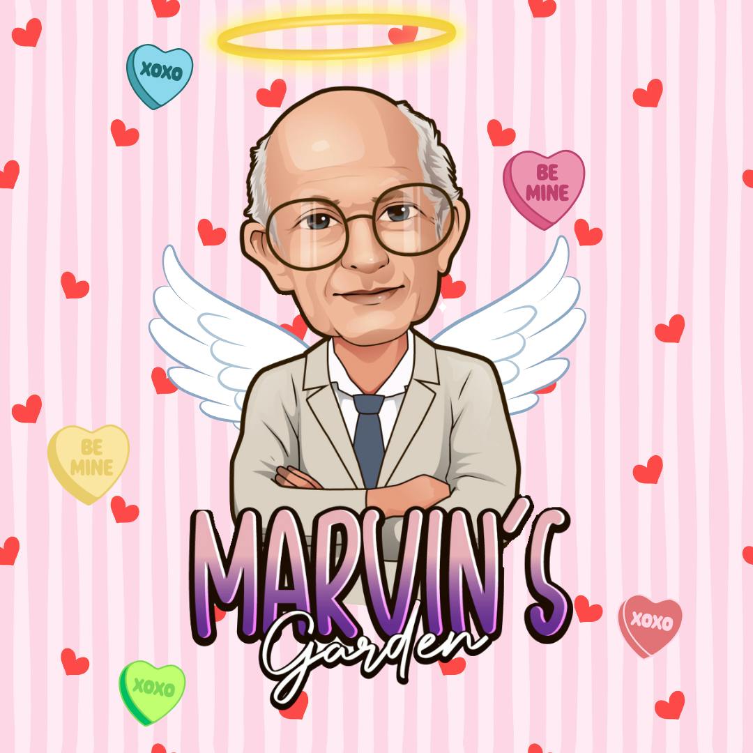 Marvin's Garden