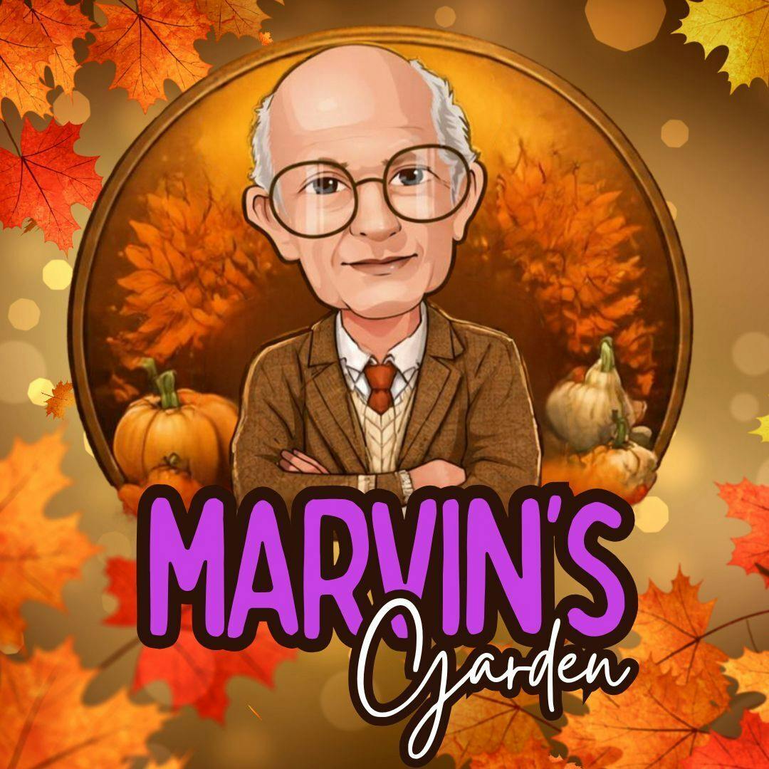 Marvin's Garden