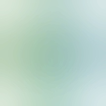 Holistic Alternatives