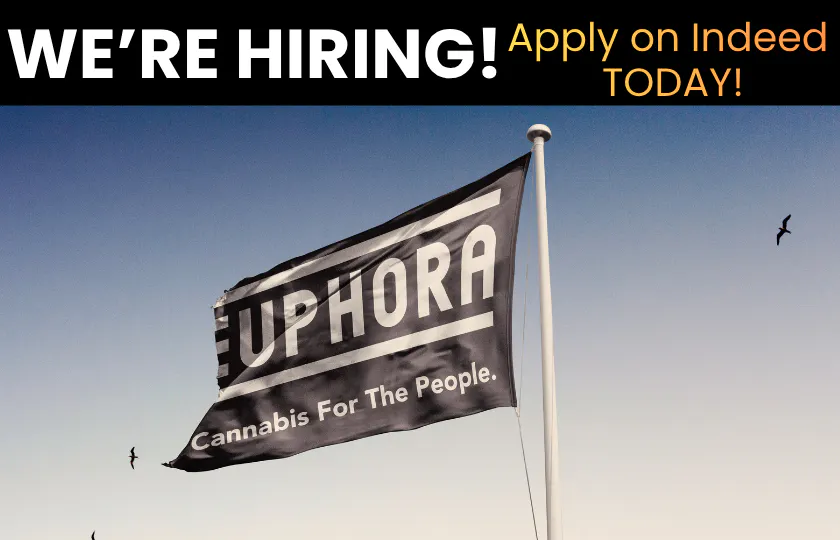 Euphora - Admiral listing banner