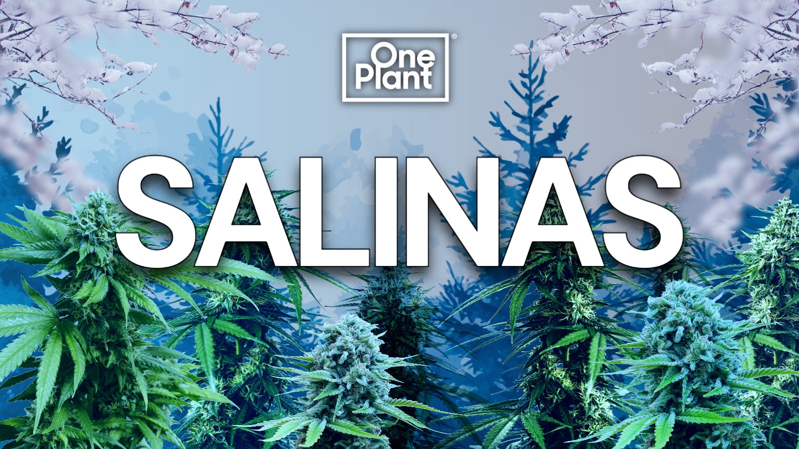 One Plant Salinas listing banner