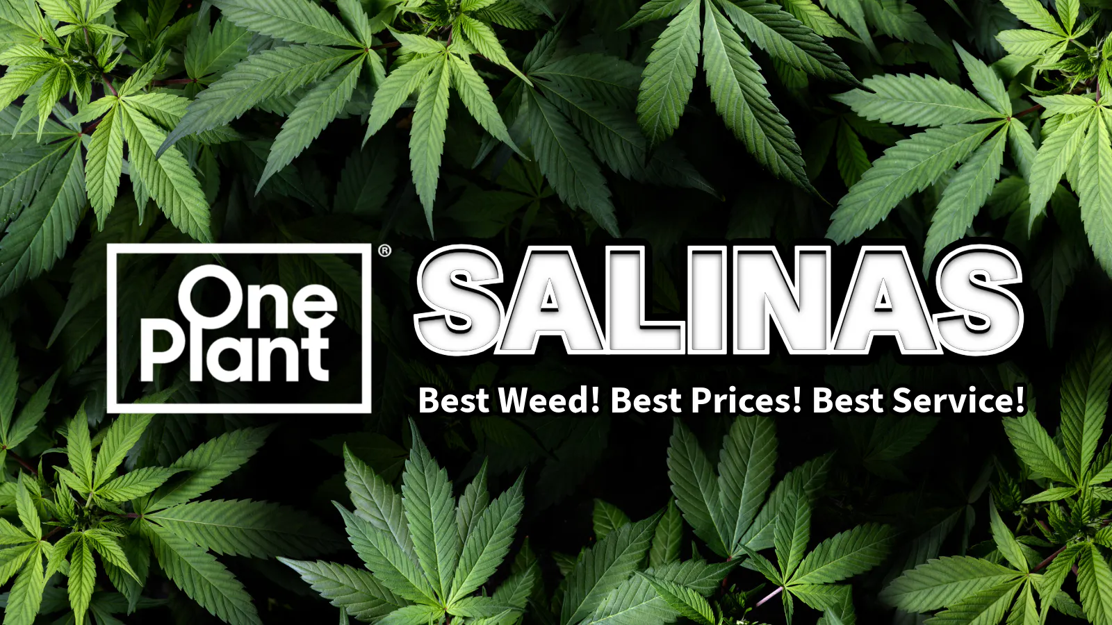 One Plant Salinas listing banner