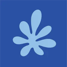 Euphoria Wellness - Hamilton