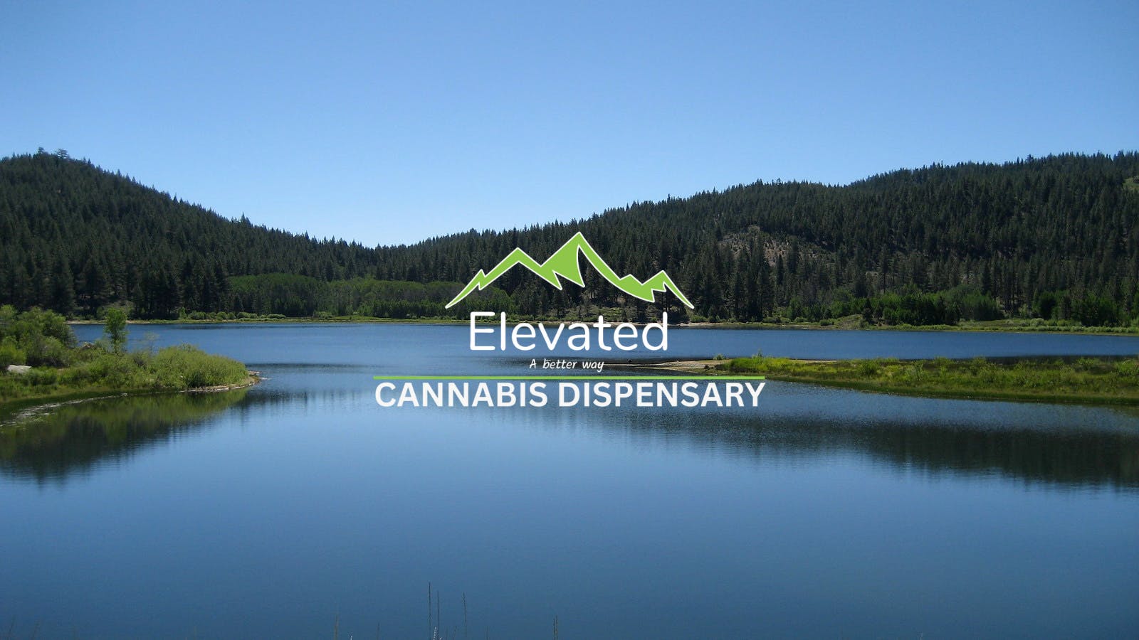 Elevated - Bozeman listing banner