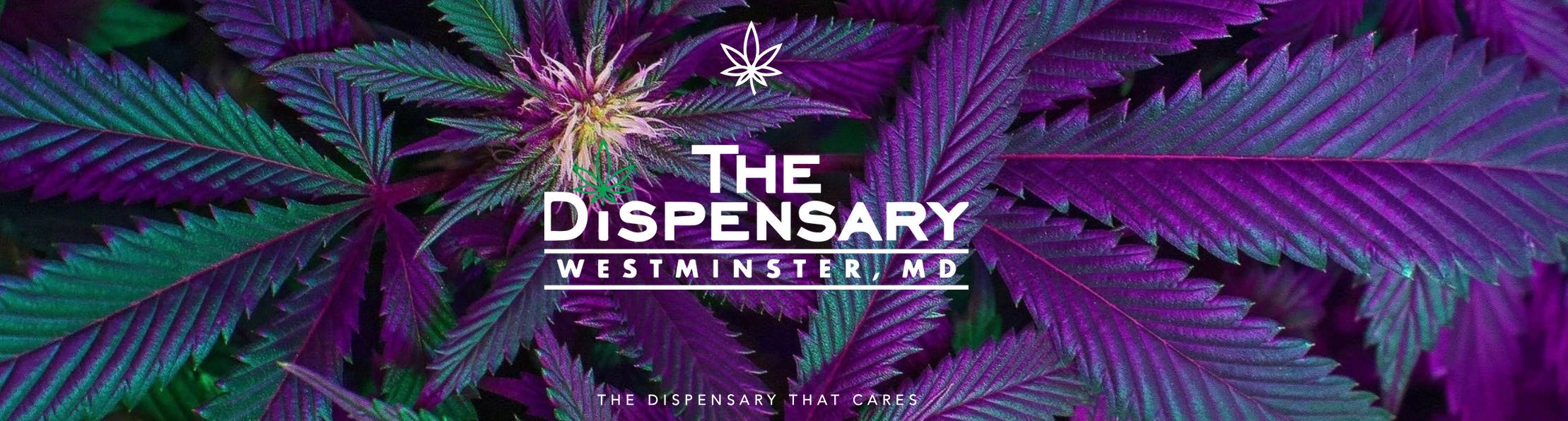 The Dispensary listing banner
