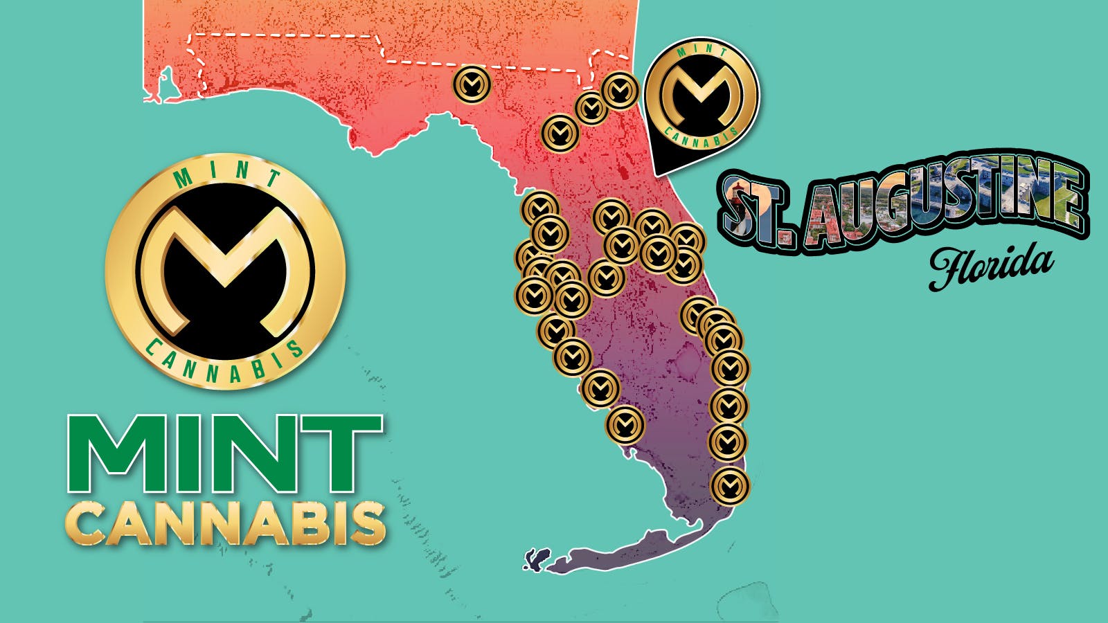 Cannabist St. Augustine listing banner