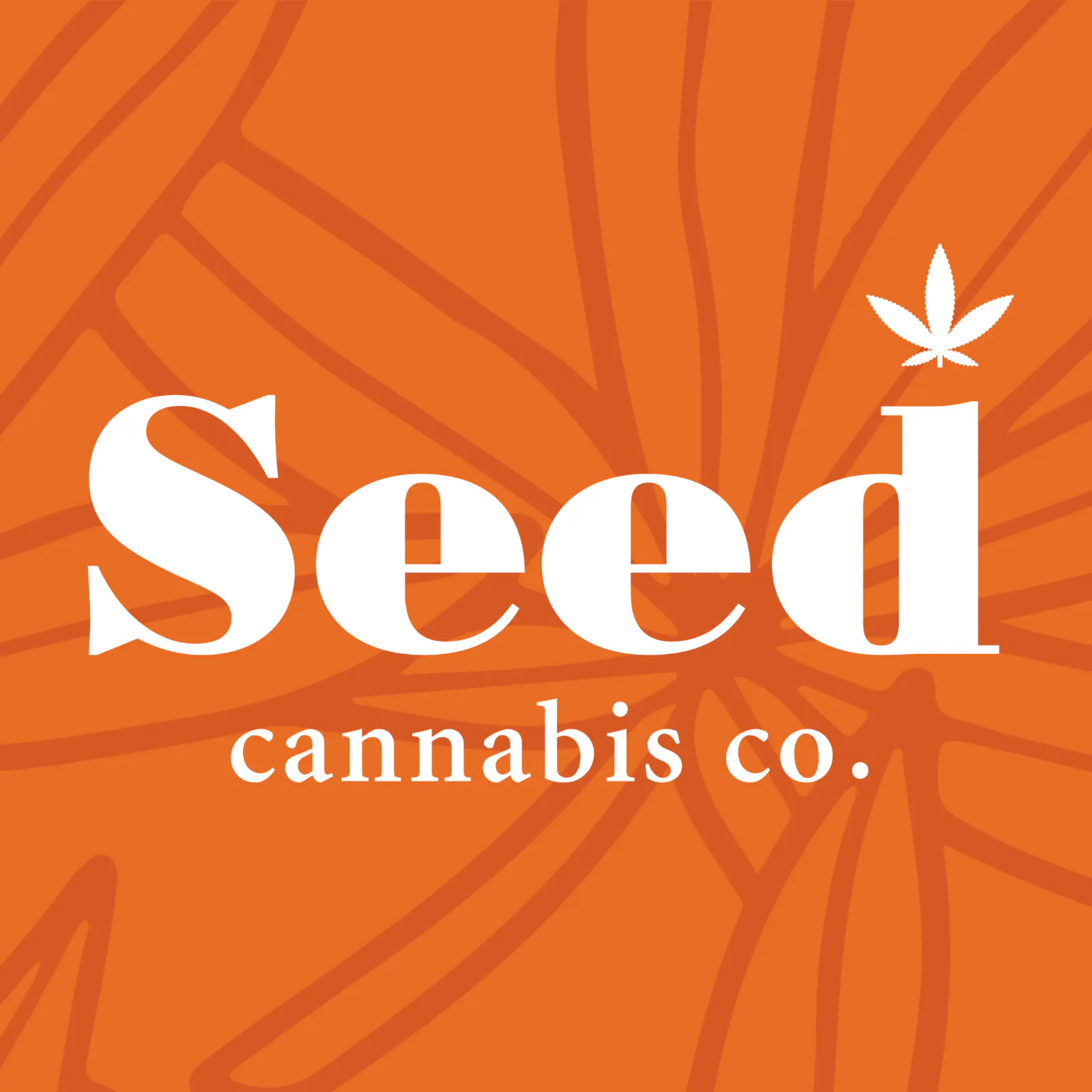 Seed – 42nd & Sheridan – Tulsa