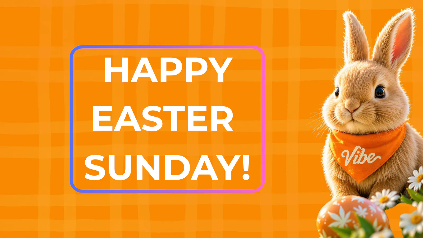 Vibe Cannabis | Redding Dispensary listing banner