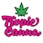 Tropic Canna - Lawton