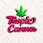Tropic Canna - Lawton
