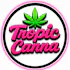 Tropic Canna - Lawton