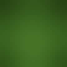 Nevada Made Marijuana - Warm Springs