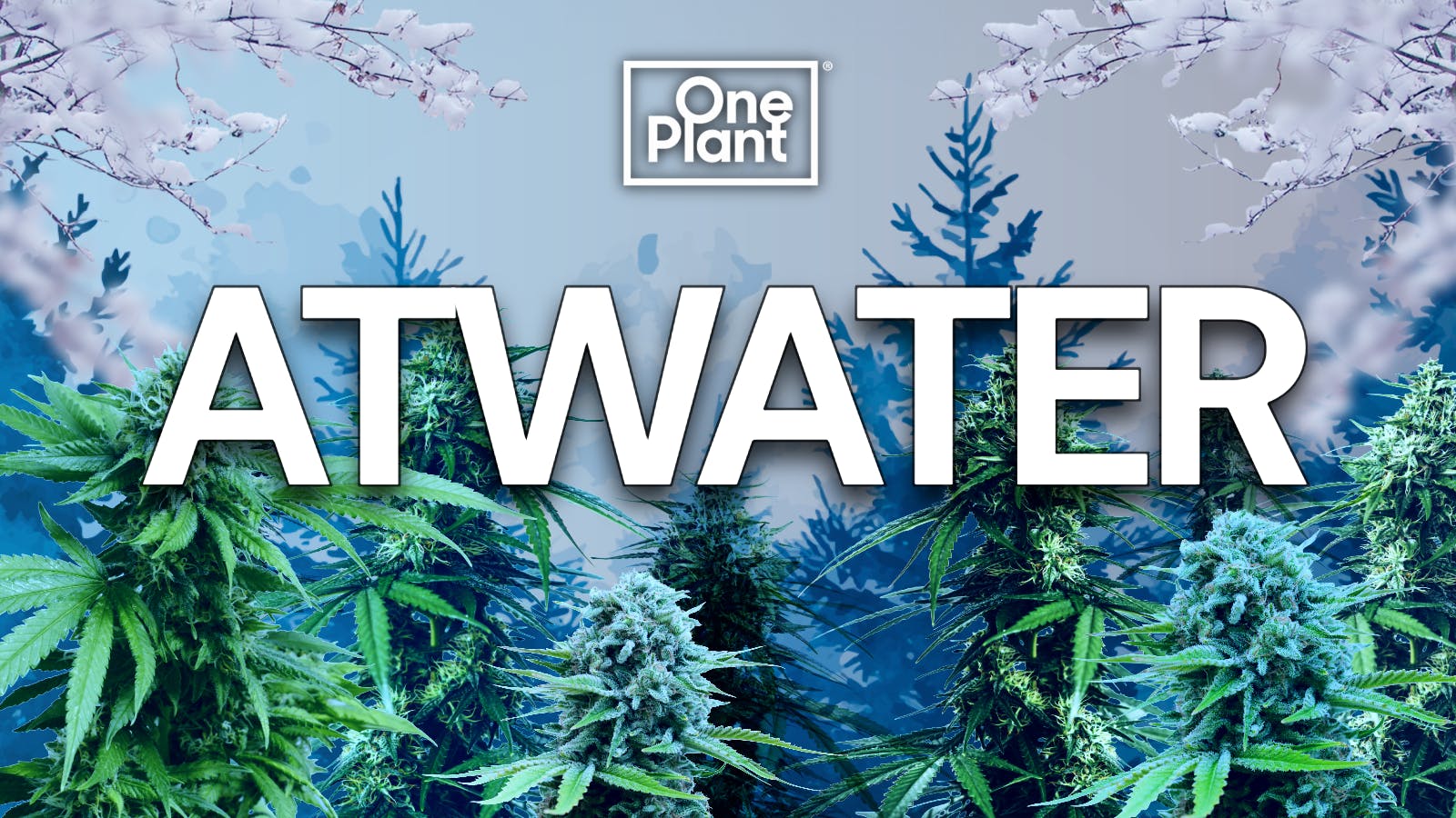One Plant Atwater listing banner