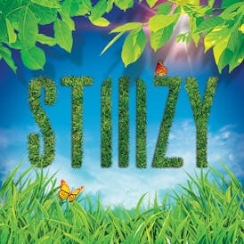 STIIIZY Palm Desert