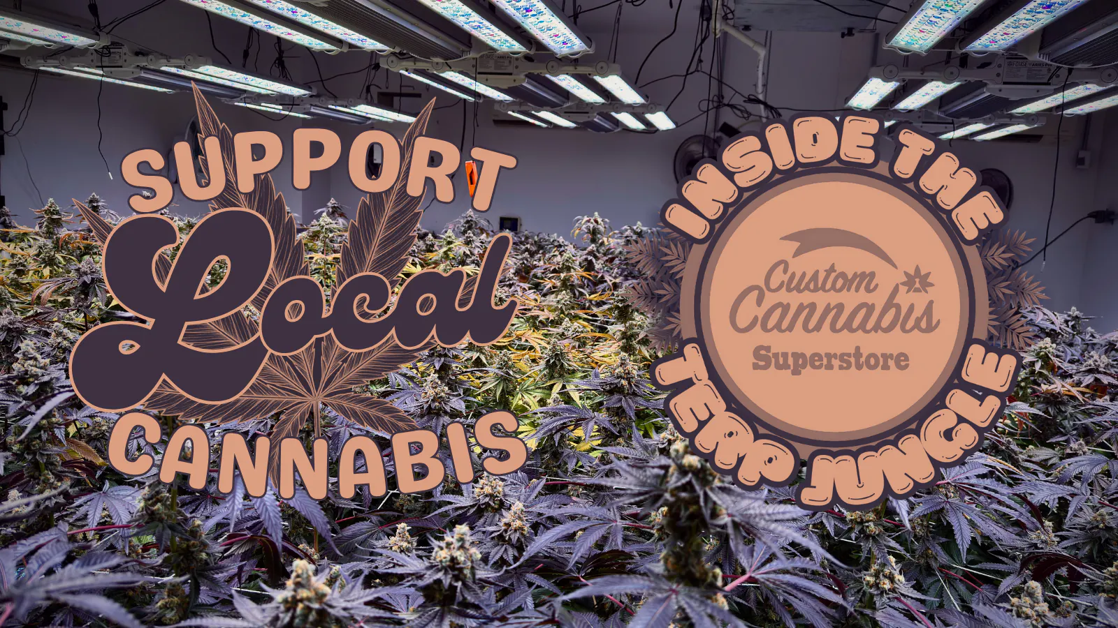 Custom Cannabis listing banner