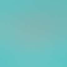 Freddie's Recreational