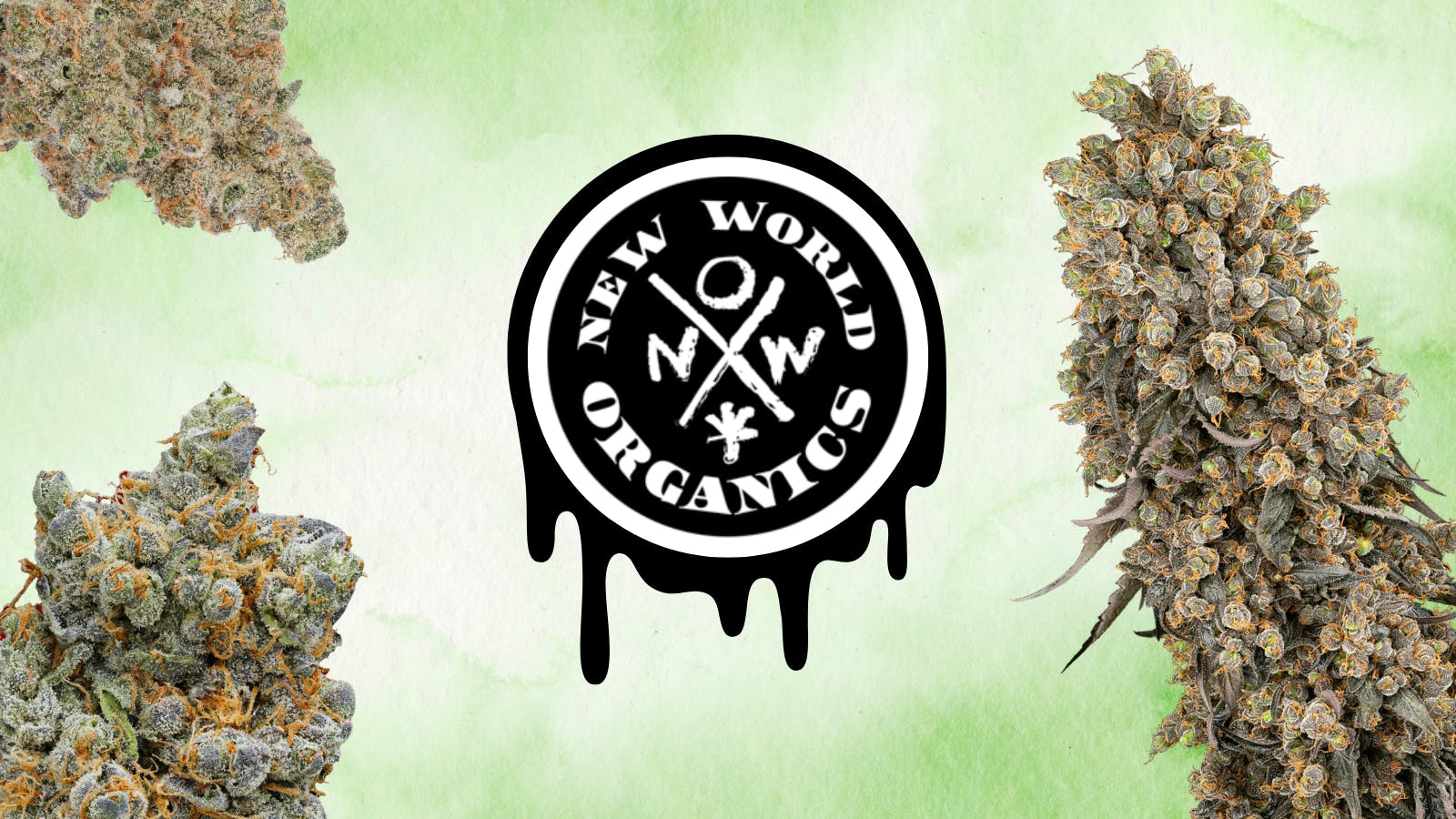 New World Organics Rockland listing banner