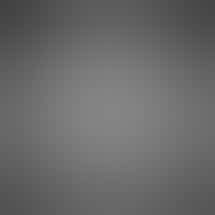 Capital Dank - Shawnee