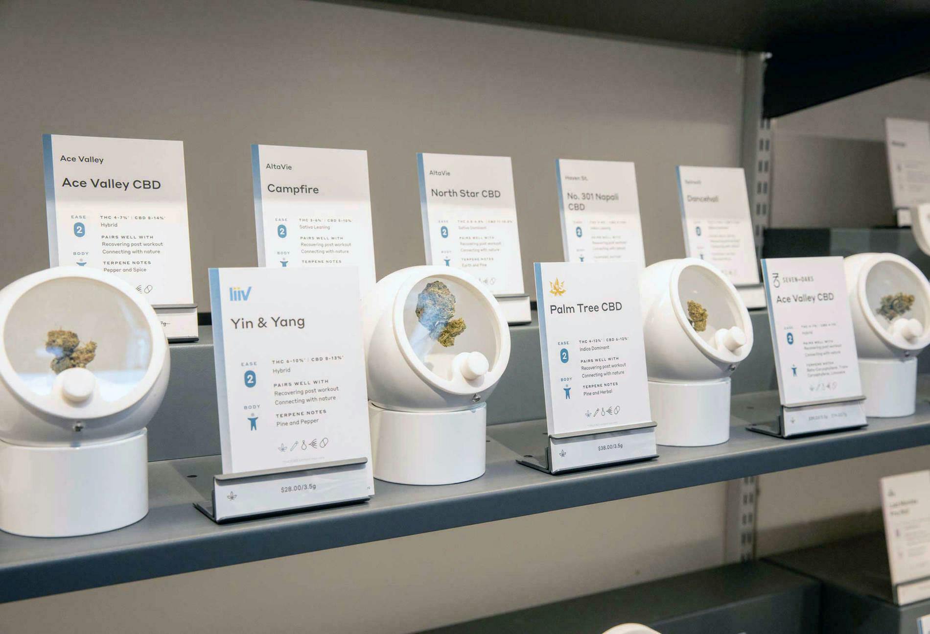 Tokyo Smoke - Ottawa Wellington