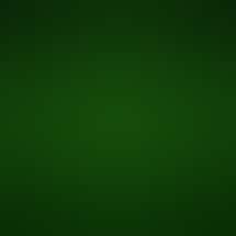 The Green Chamber