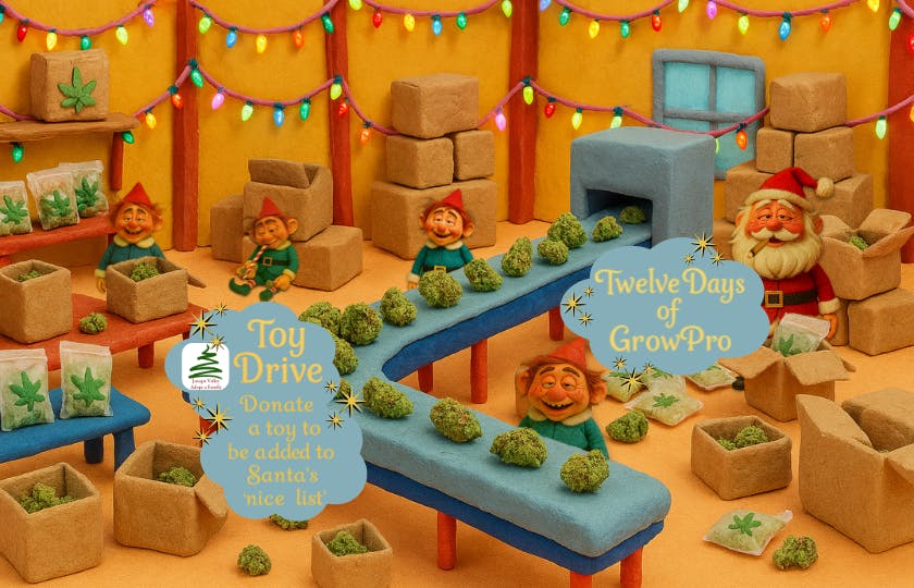 The Green Chamber listing banner