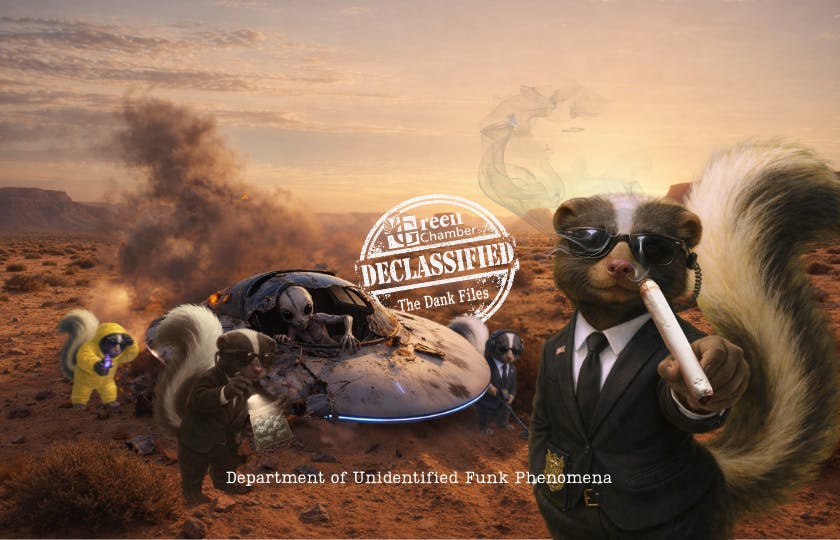 The Green Chamber listing banner