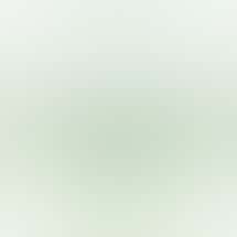 365 Recreational Cannabis - Santa Rosa