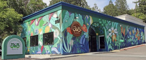 365 Recreational Cannabis - Santa Rosa listing banner