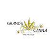 Grands Golden Canna