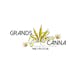 Grands Golden Canna