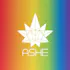 ASHE Society - OC