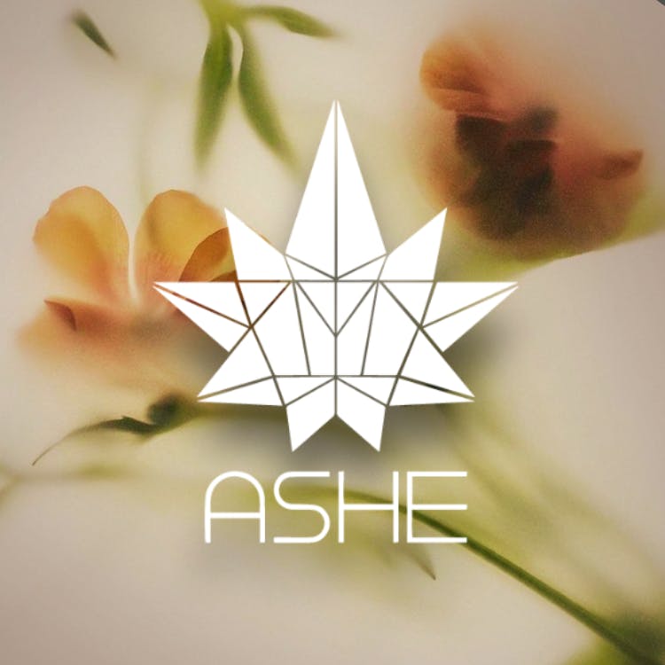ASHE Society - OC