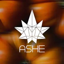 ASHE Society - OC