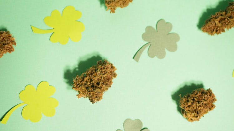 Flower Tops listing banner